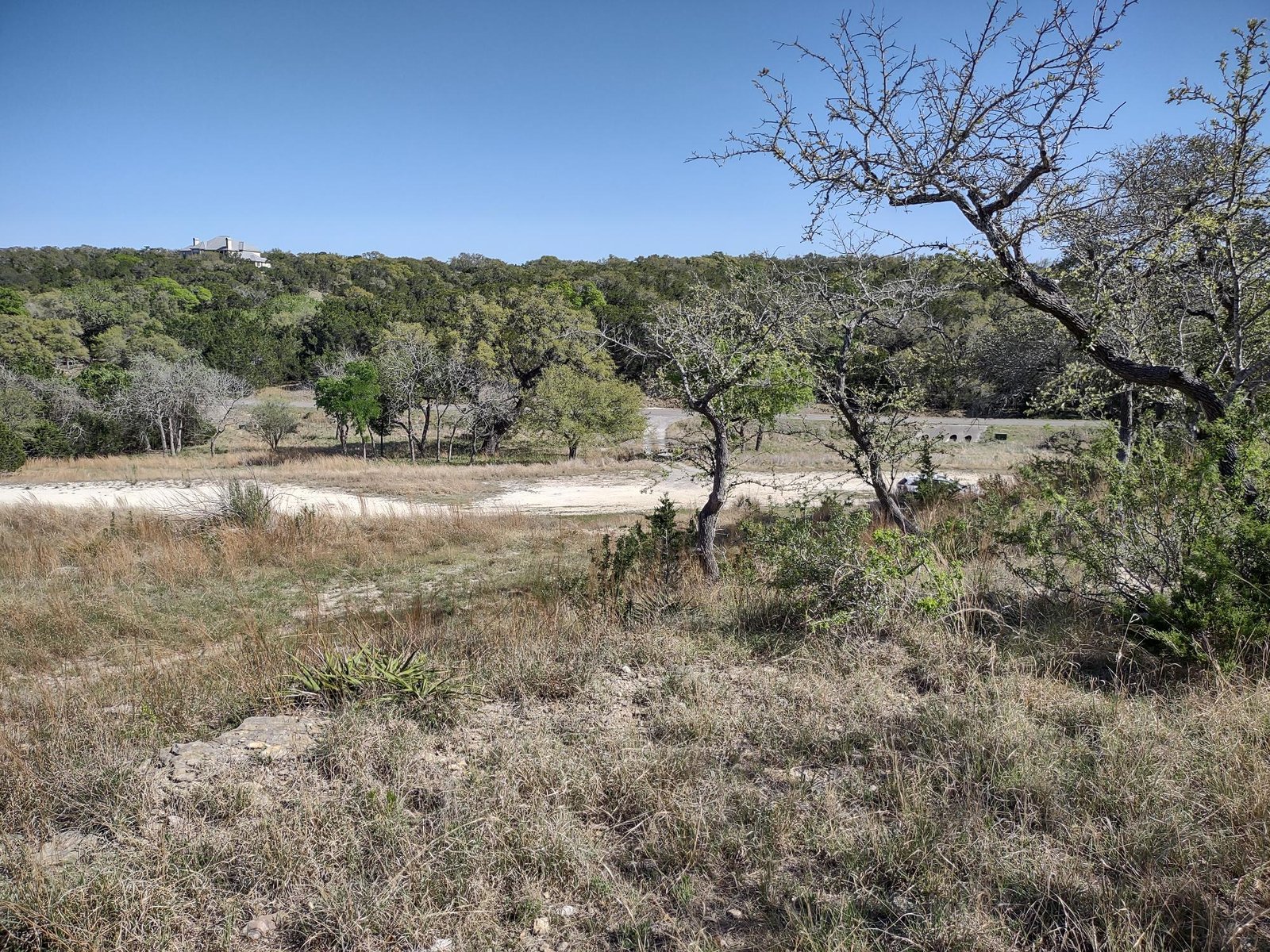 3532 Comal Springs — photo 3