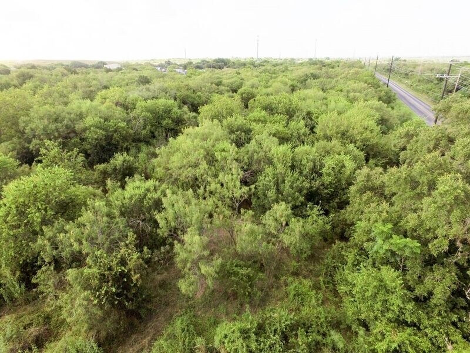 5.54 AC On Medina Base Rd — photo 13
