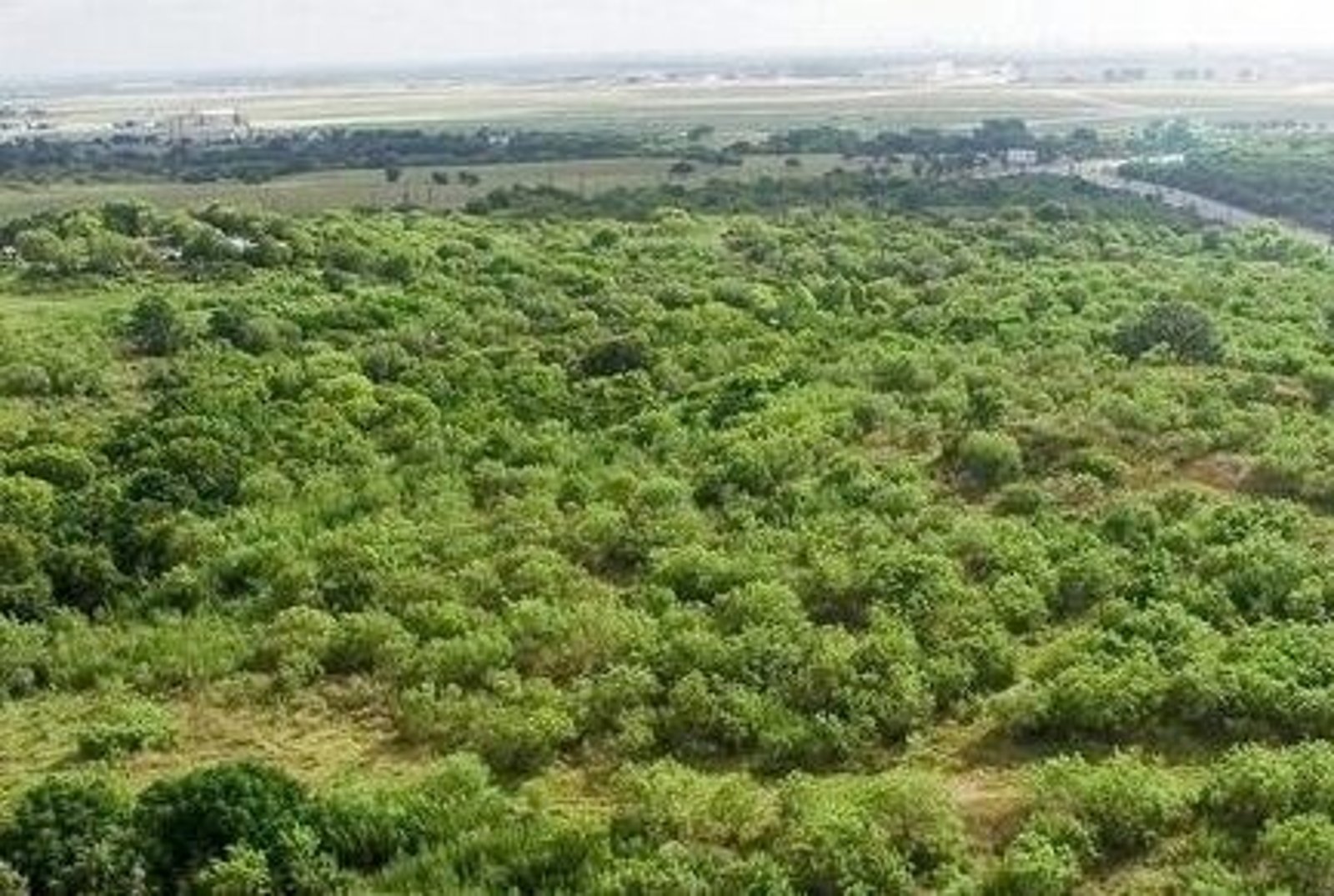 5.54 AC On Medina Base Rd — photo 14