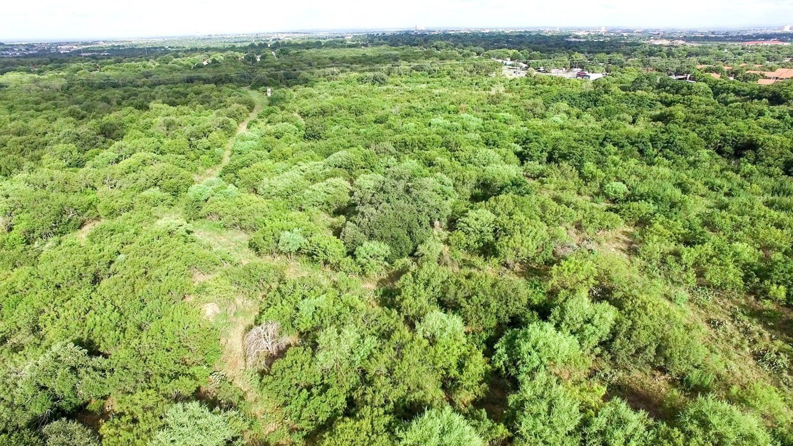 5.54 AC On Medina Base Rd — photo 17