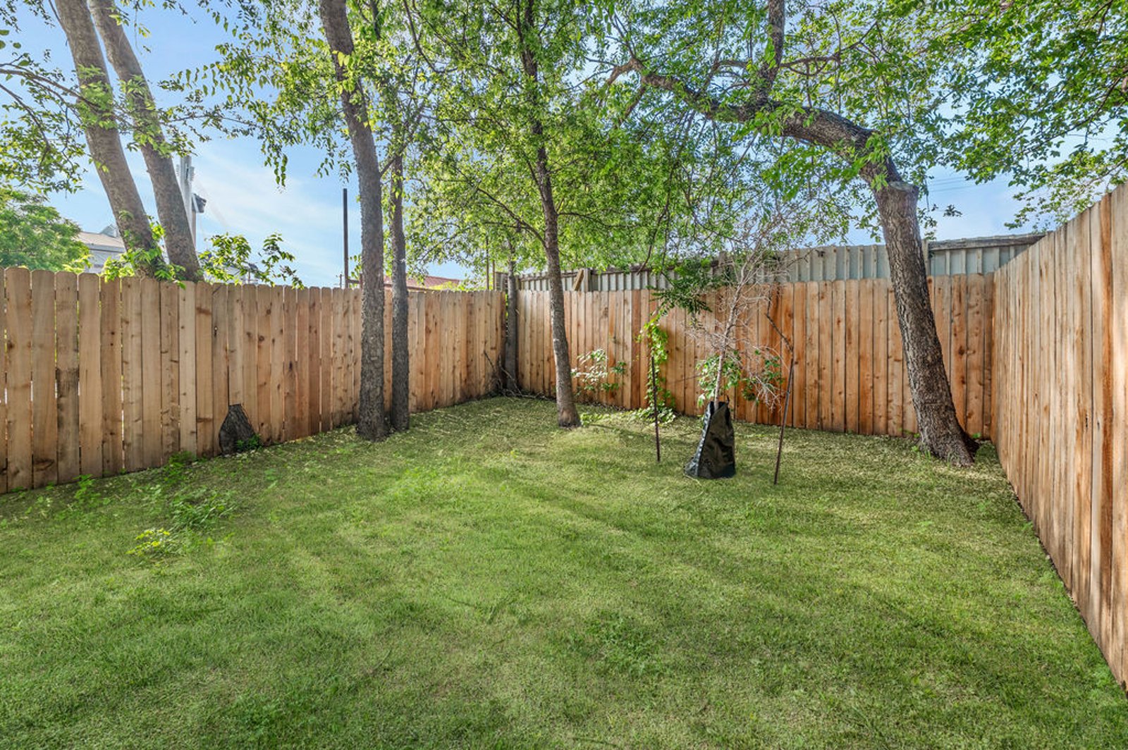 125 DASHIELL ST SAN ANTONIO TX 78203 — photo 17
