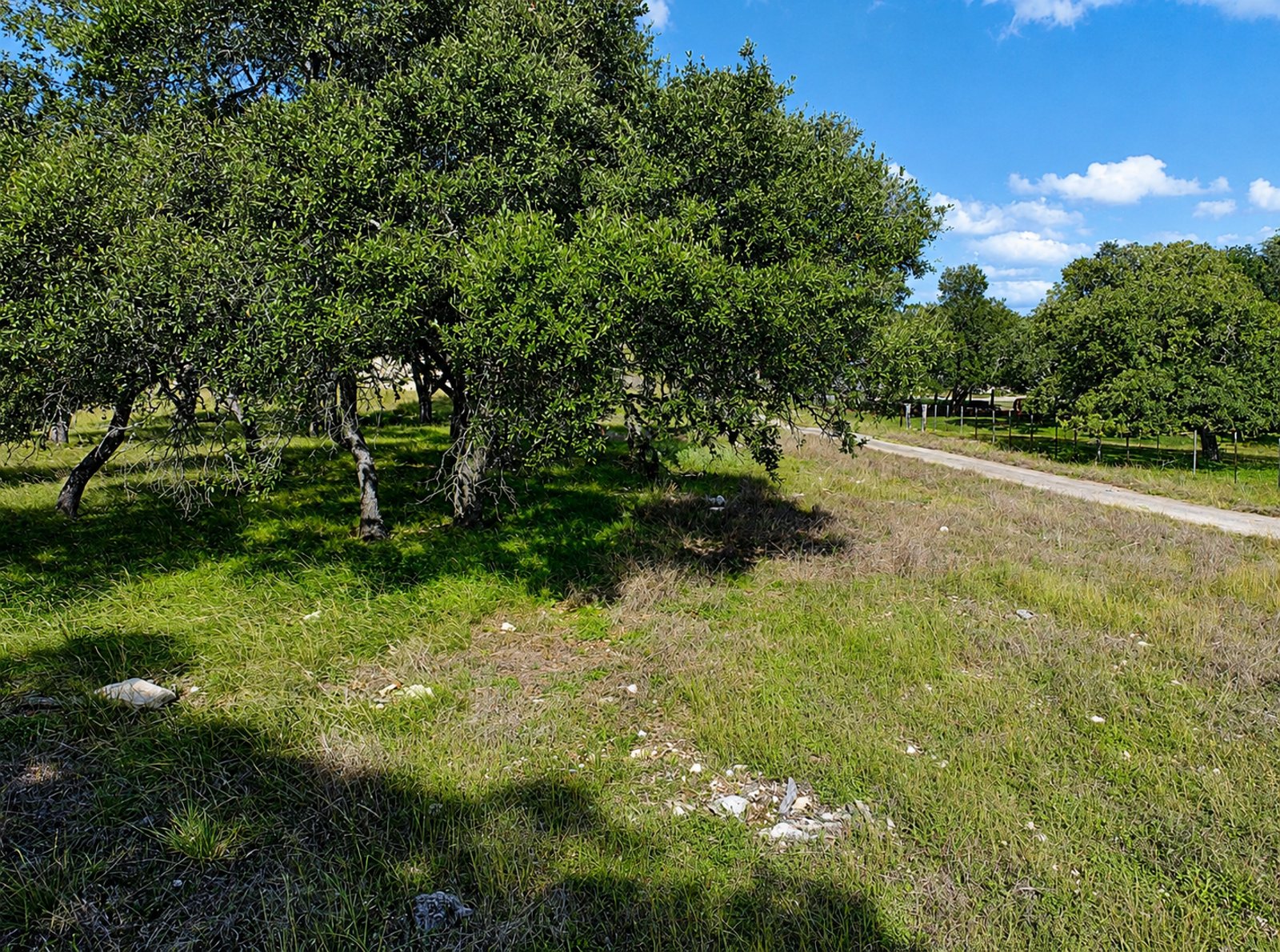 32670 FM 3351 S BOERNE TX 78006-5708 — photo 5