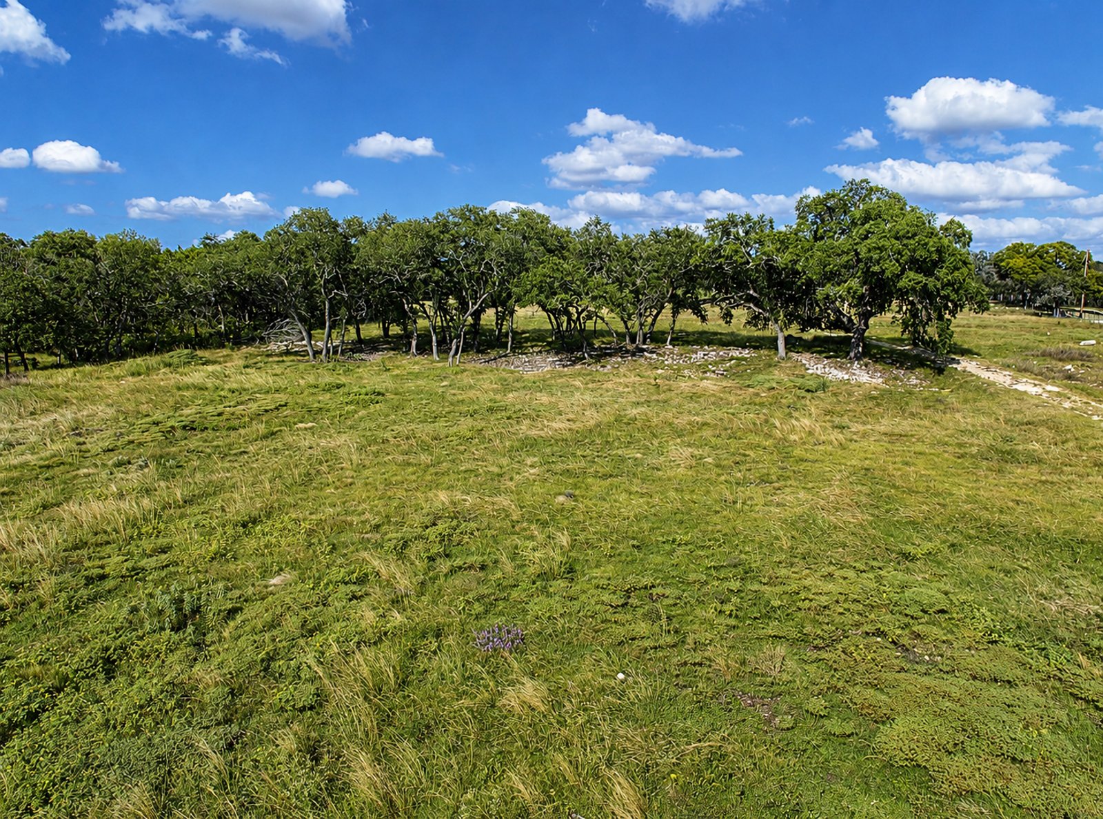 32670 FM 3351 S BOERNE TX 78006-5708 — photo 6