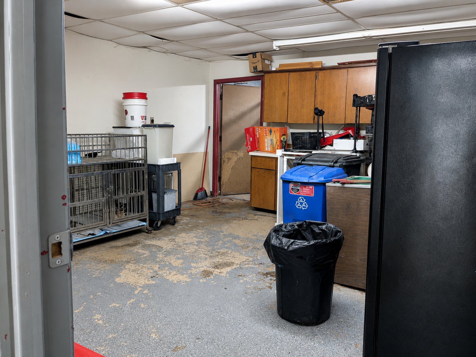Retail | Office | Fromer Vet Clinic — photo 12