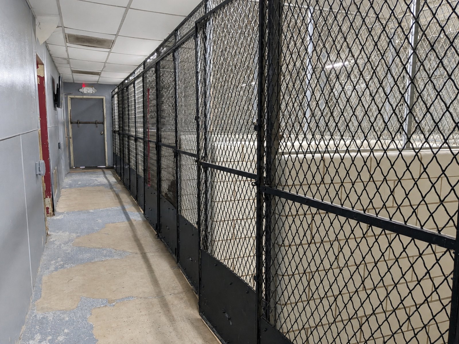 Retail | Office | Fromer Vet Clinic — photo 14
