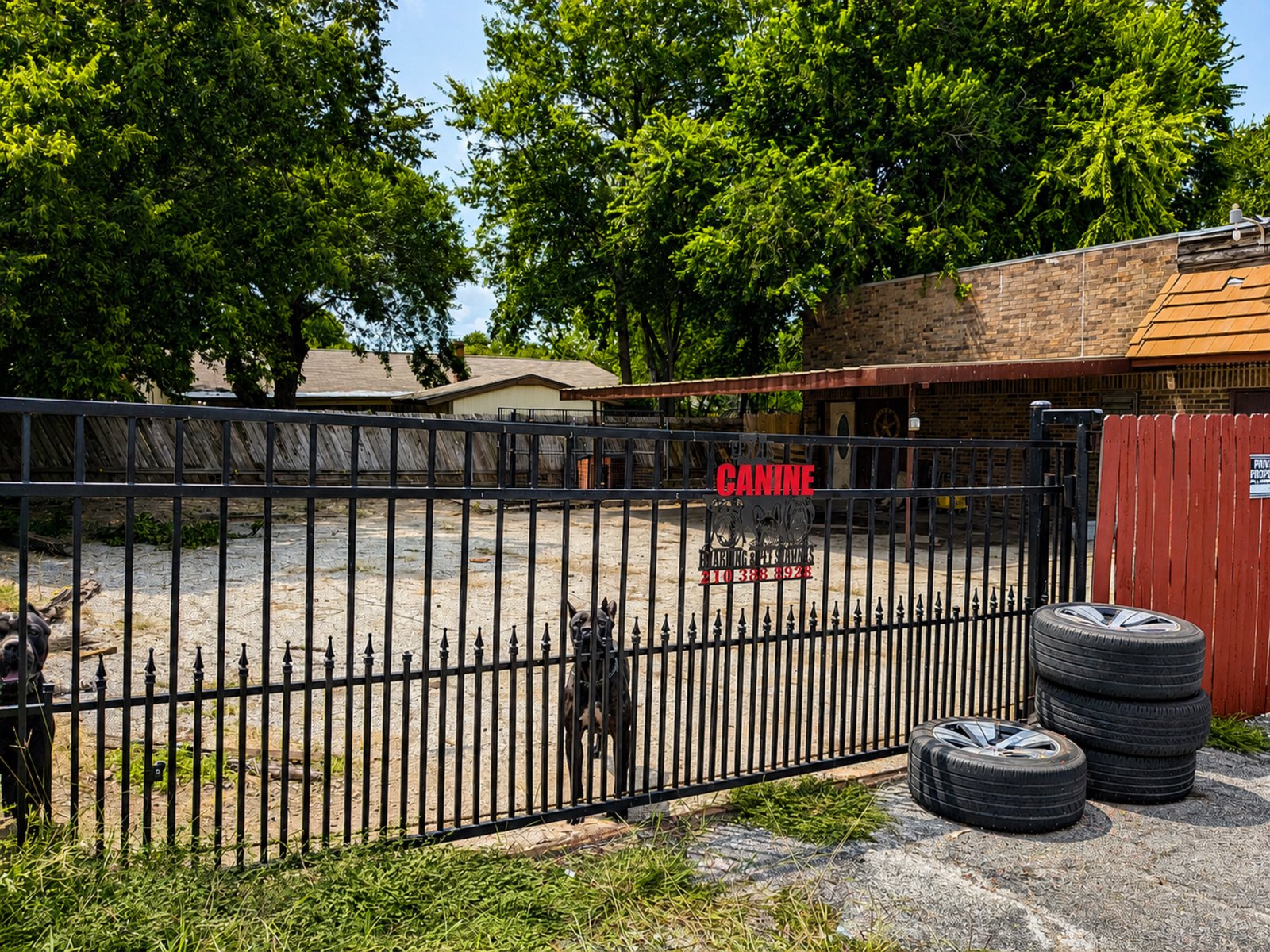 Retail | Office | Fromer Vet Clinic — photo 24