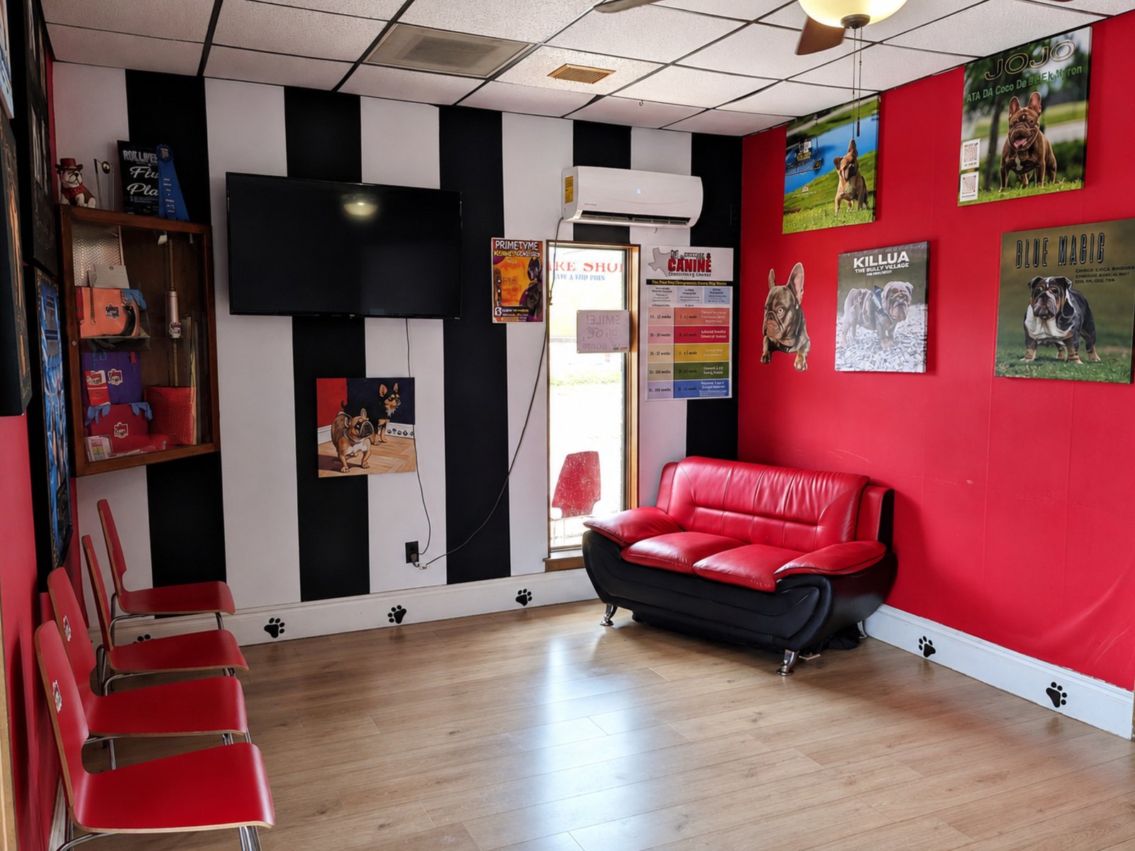Retail | Office | Fromer Vet Clinic — photo 27