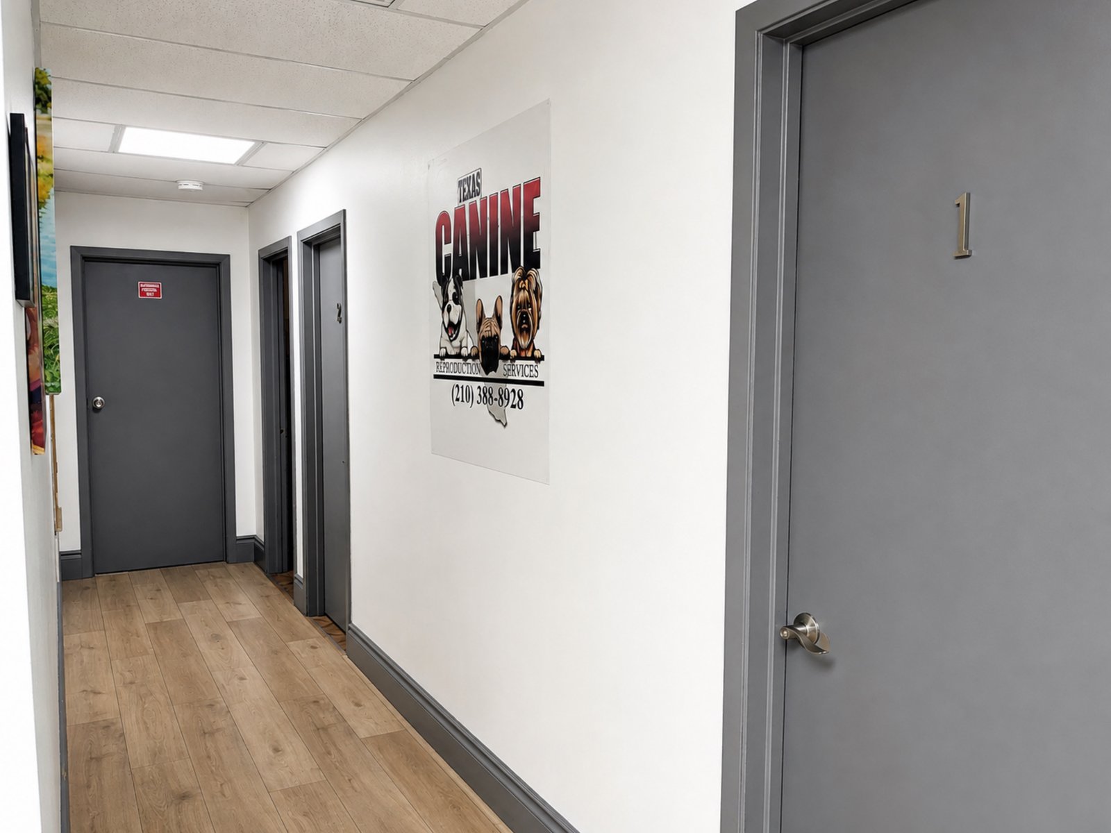 Retail | Office | Fromer Vet Clinic — photo 32