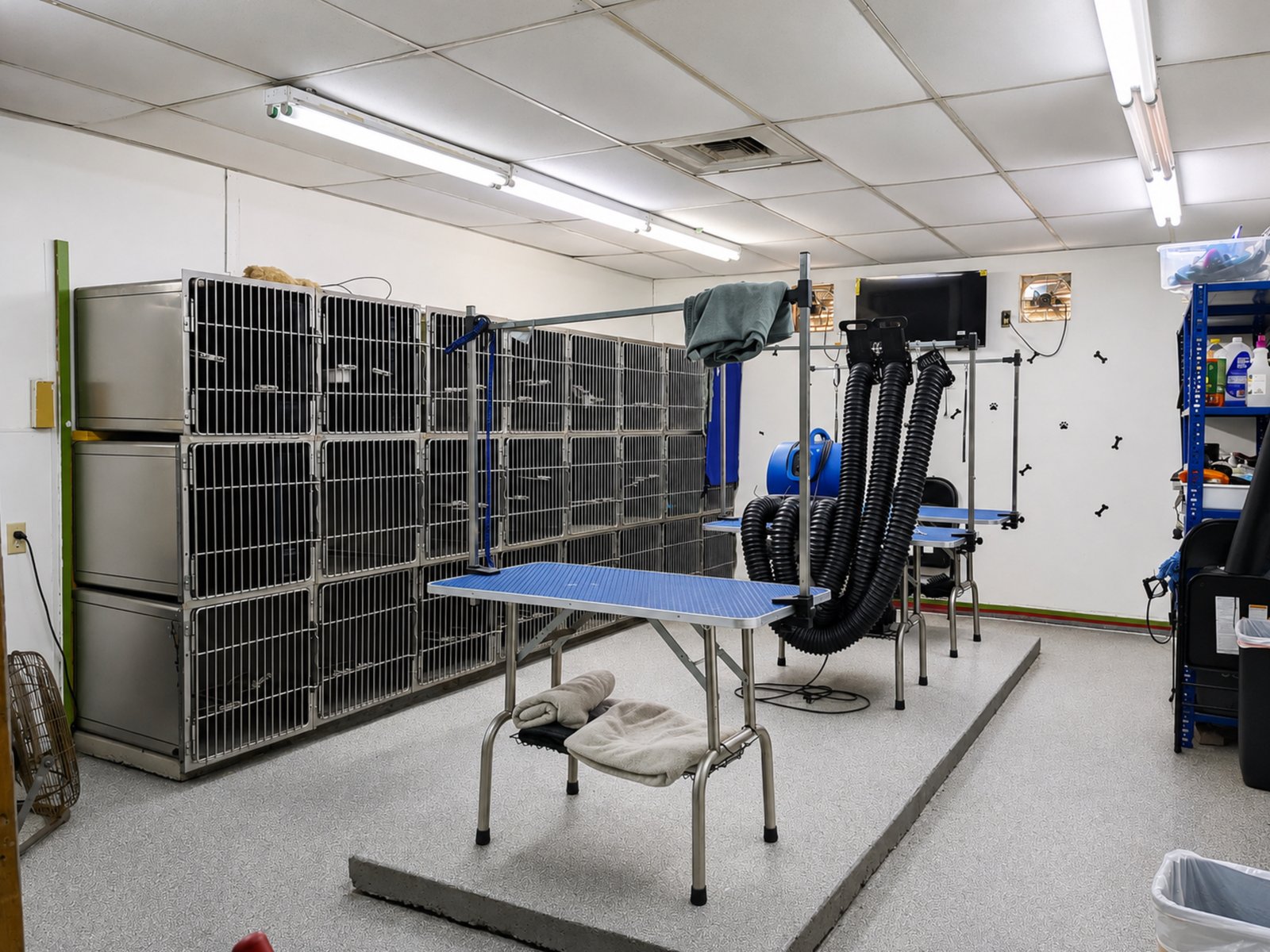 Retail | Office | Fromer Vet Clinic — photo 36