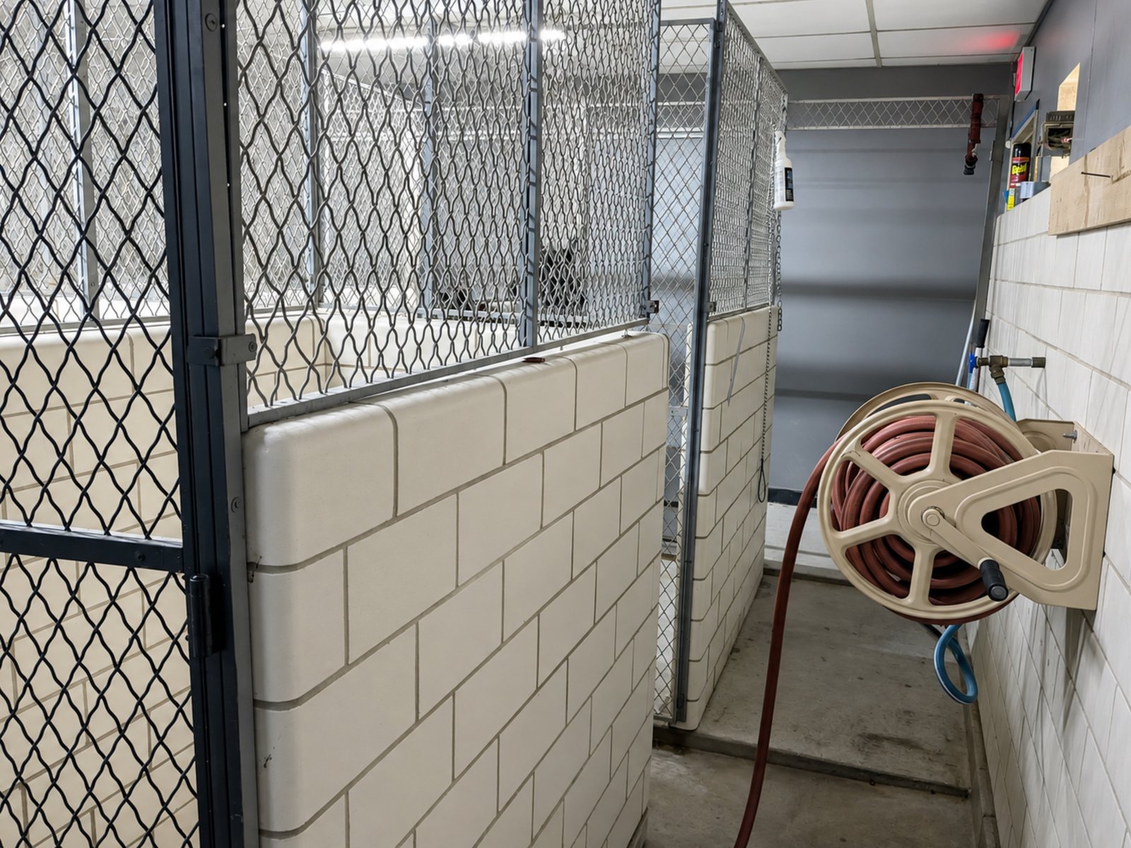Retail | Office | Fromer Vet Clinic — photo 37