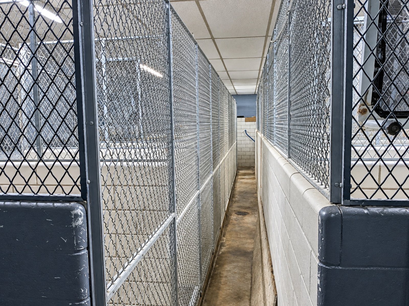 Retail | Office | Fromer Vet Clinic — photo 38