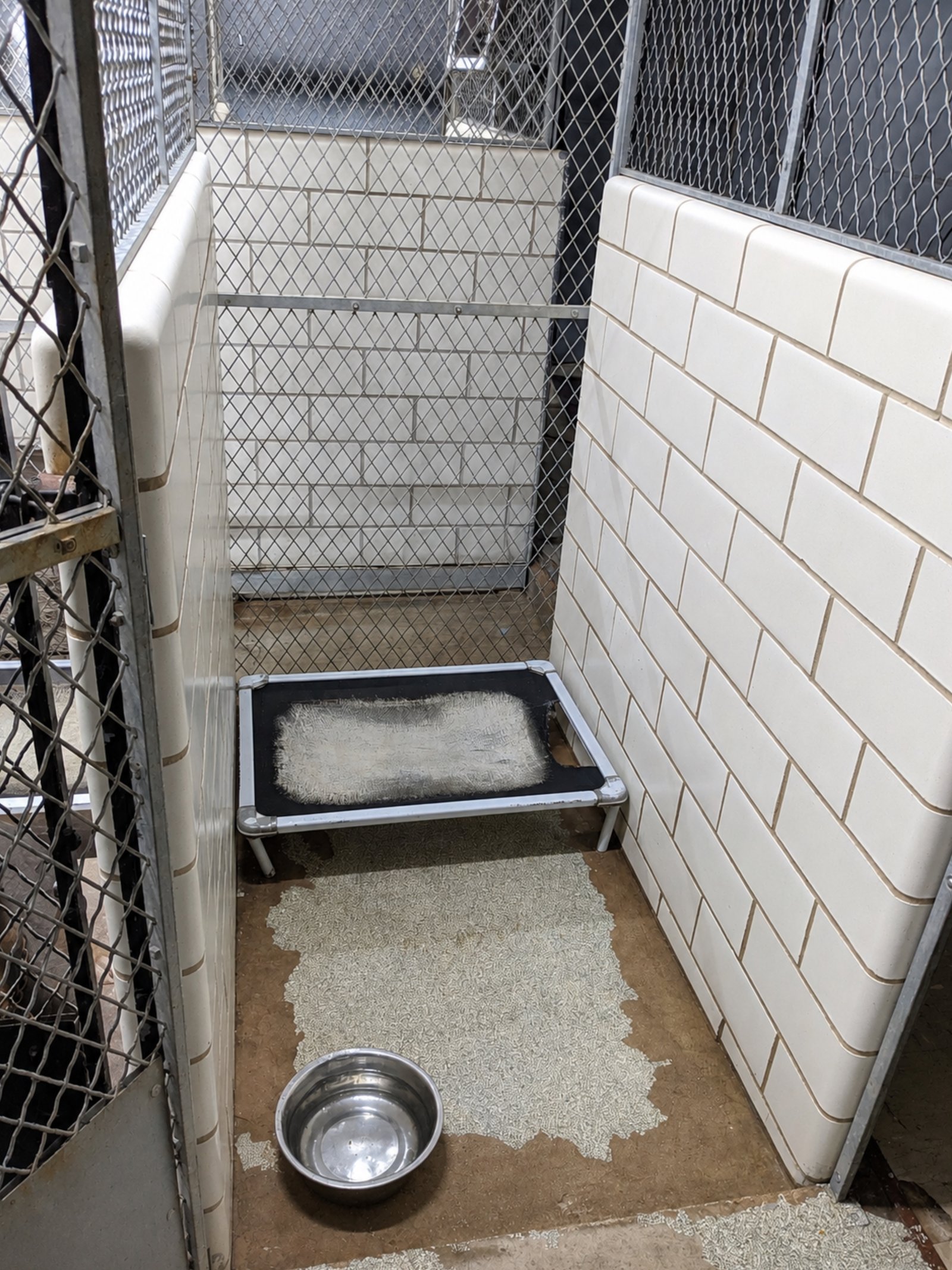 Retail | Office | Fromer Vet Clinic — photo 39