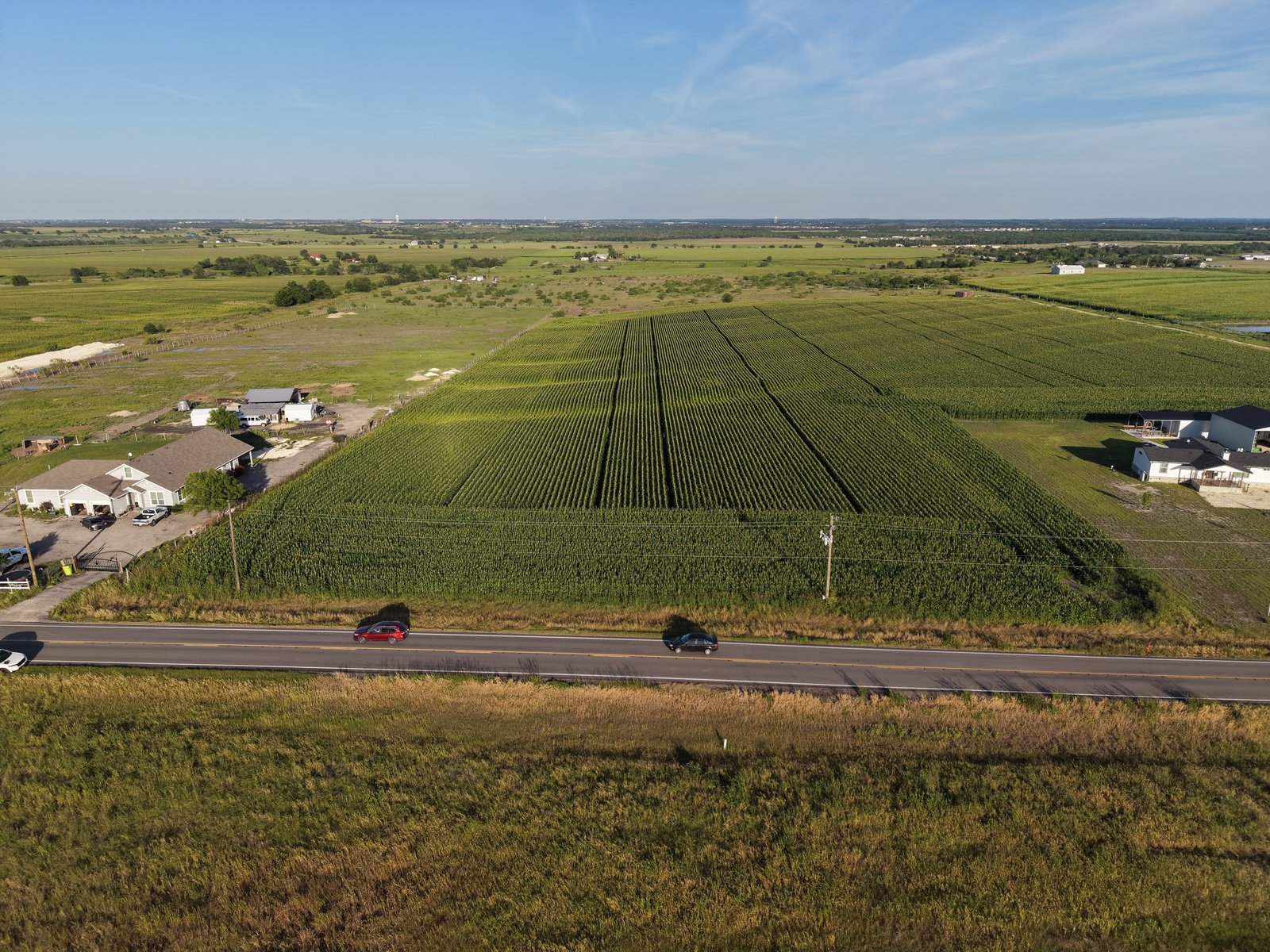 10 acres on FM 1100 — photo 11