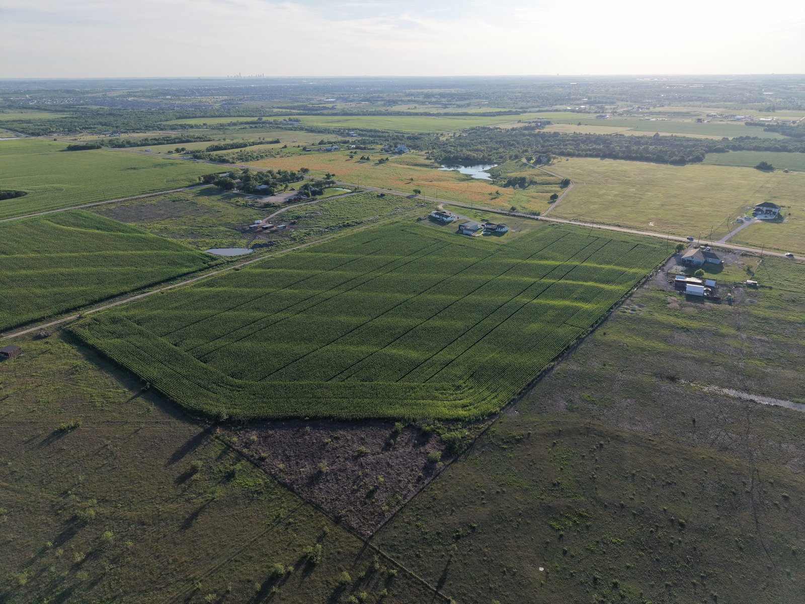 10 acres on FM 1100 — photo 17