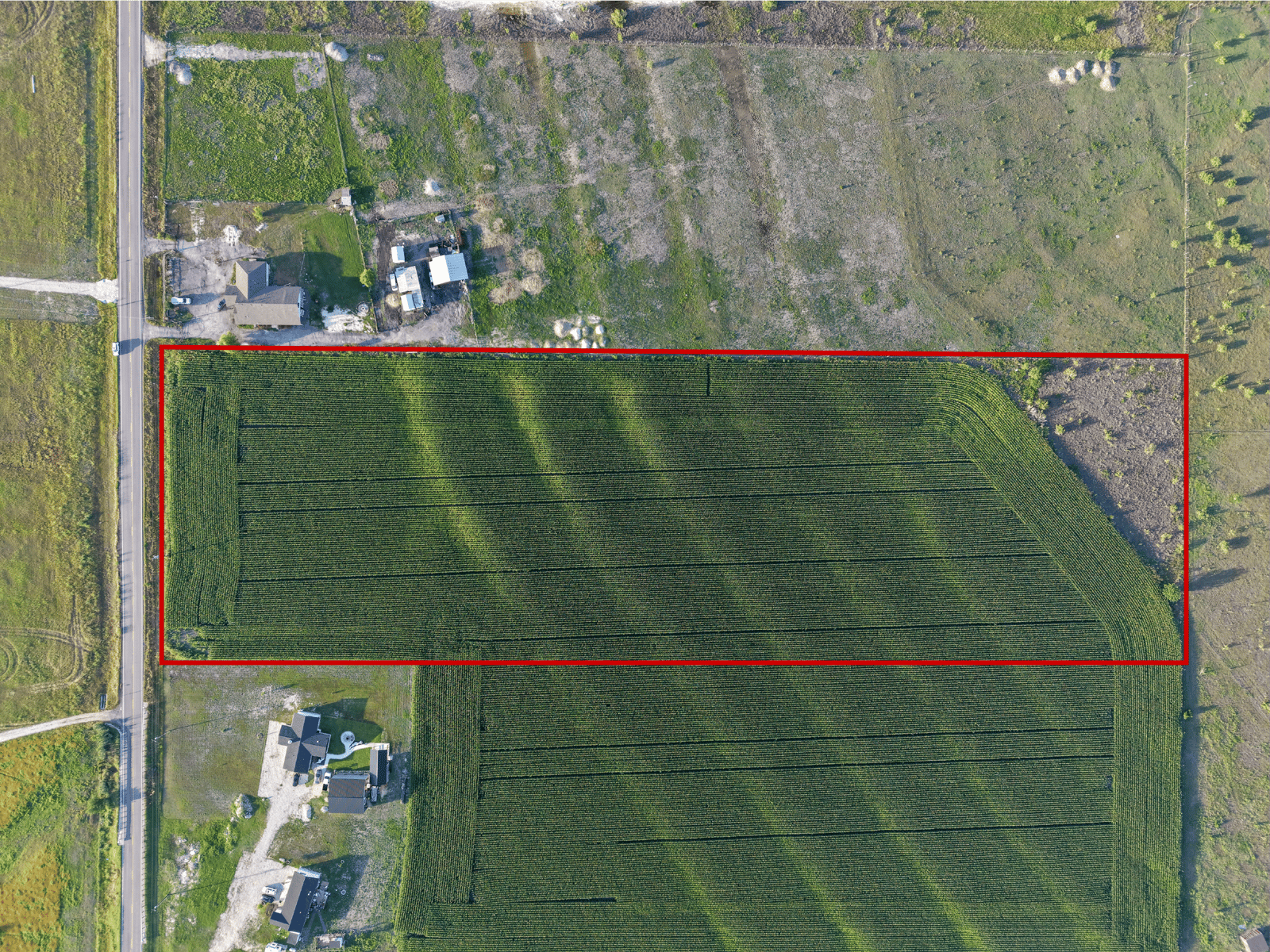 10 acres on FM 1100 — photo 6