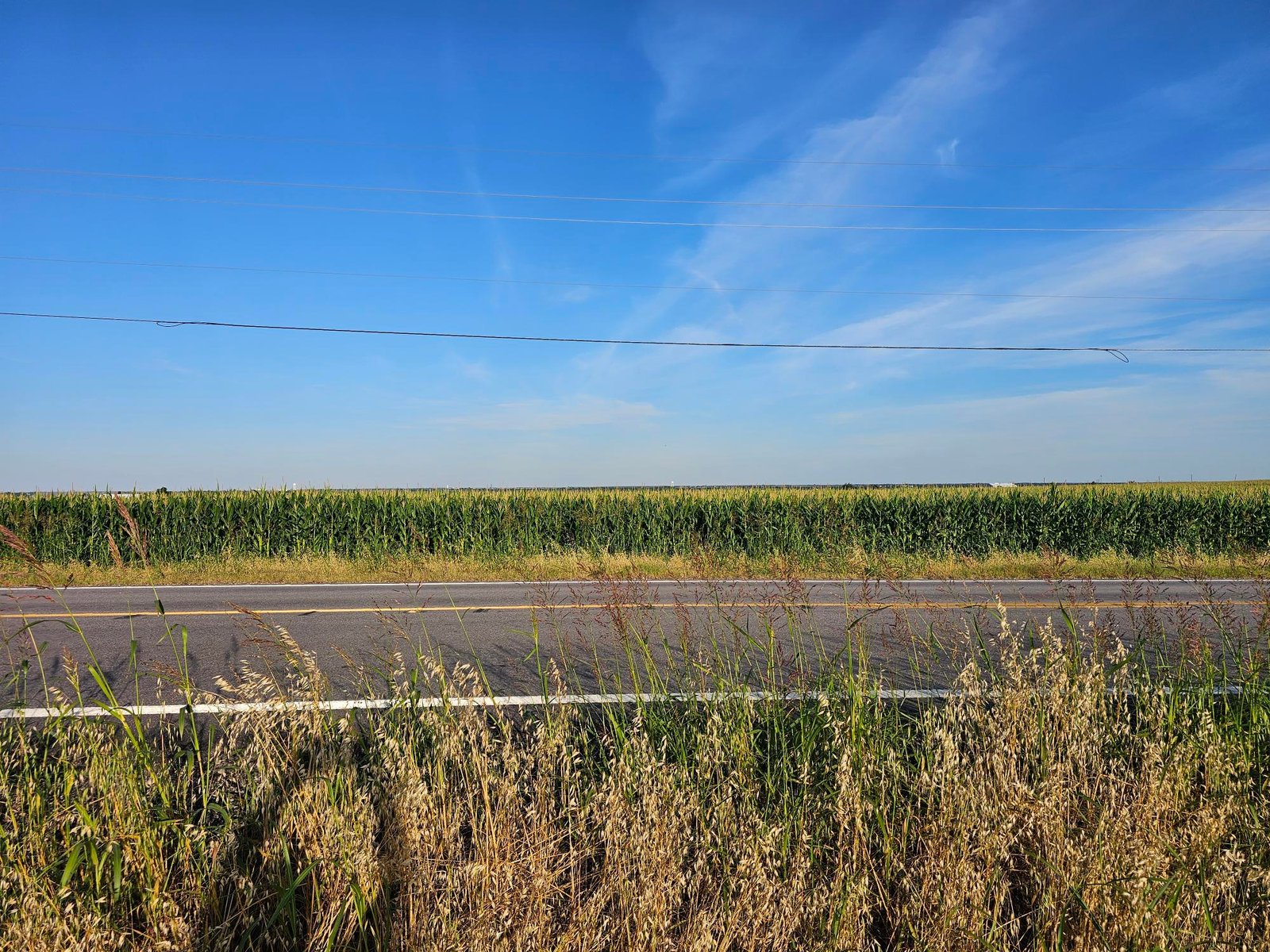 10 acres on FM 1100 — photo 7