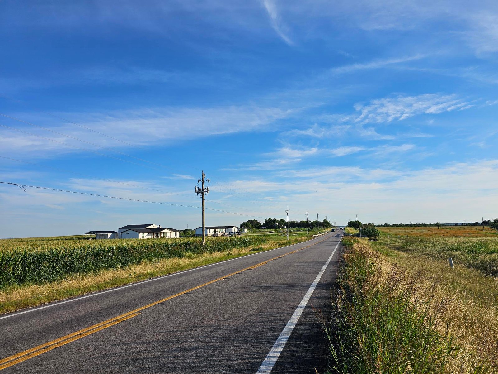 10 acres on FM 1100 — photo 8